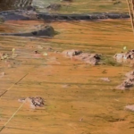 Família se depara com sucuri gigante em rio de fazenda em Goiás; veja vídeo