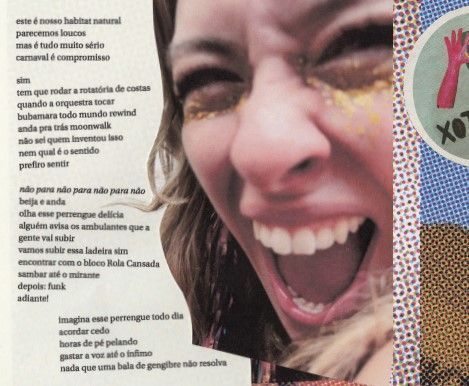 O livro reúne impressões do Carnaval de Belo Horizonte, cidade natal da autora, onde ela participa ativamente da construção da festa desde 2011