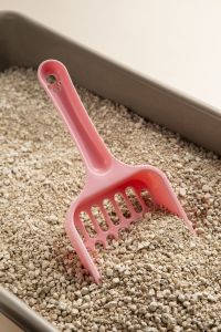 A recomendação final para quem busca aliar economia e saúde é priorizar granulados de cores neutras e claras