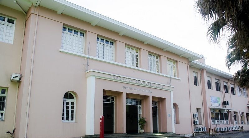 Caso suspeito de 'doença da vaca louca' é investigado em Minas Gerais