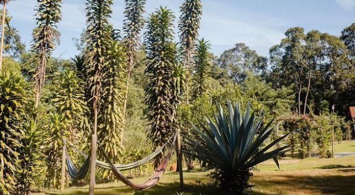 A natureza do espaço Ecovila é um convite para um momento contemplativo e de reflexão A natureza do espaço Ecovila é um convite para um momento contemplativo e de reflexão
