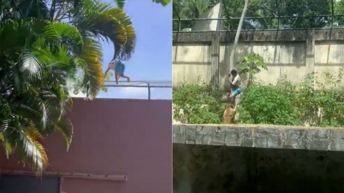 Vídeos que circulam nas redes sociais registraram o momento em que 