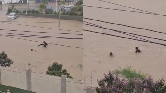 Vídeo: mulher que ia fazer matrícula do filho desaparece após enxurrada arrastar carro na Bahia