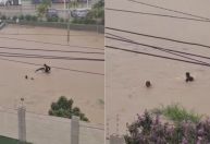 Corpo de mulher desaparecida após ser arrastada por enchente é localizado em rio na Bahia