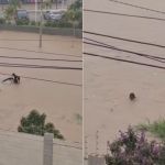 Corpo de mulher desaparecida após ser arrastada por enchente é localizado em rio na Bahia