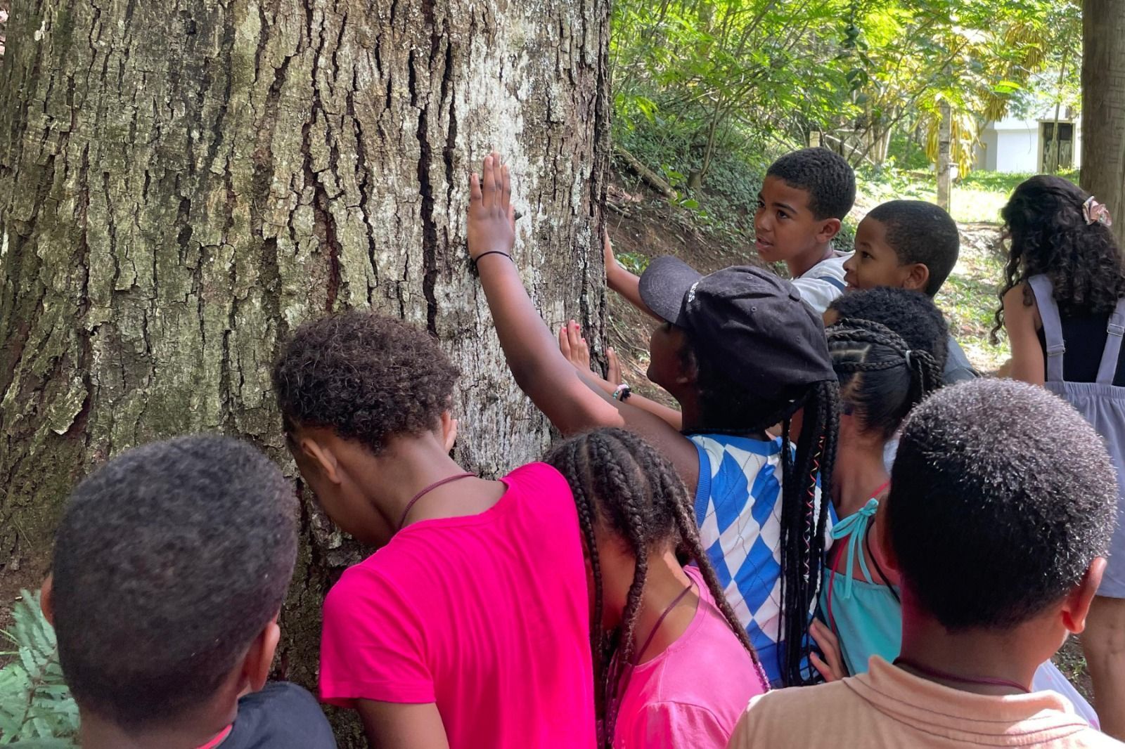 Jardim Botânico da UFJF abre novo agendamento de visitas guiadas