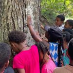 Jardim Botânico da UFJF abre novo agendamento de visitas guiadas