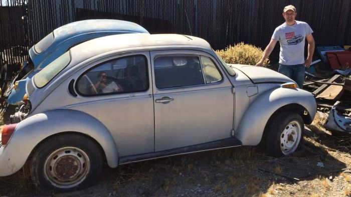 Knepper Bugs & More