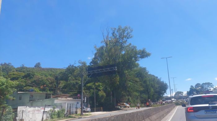 A queda da árvore bloqueou por completo a via da Av. Nossa Senhora do Carmo, sentido Belo Horizonte 