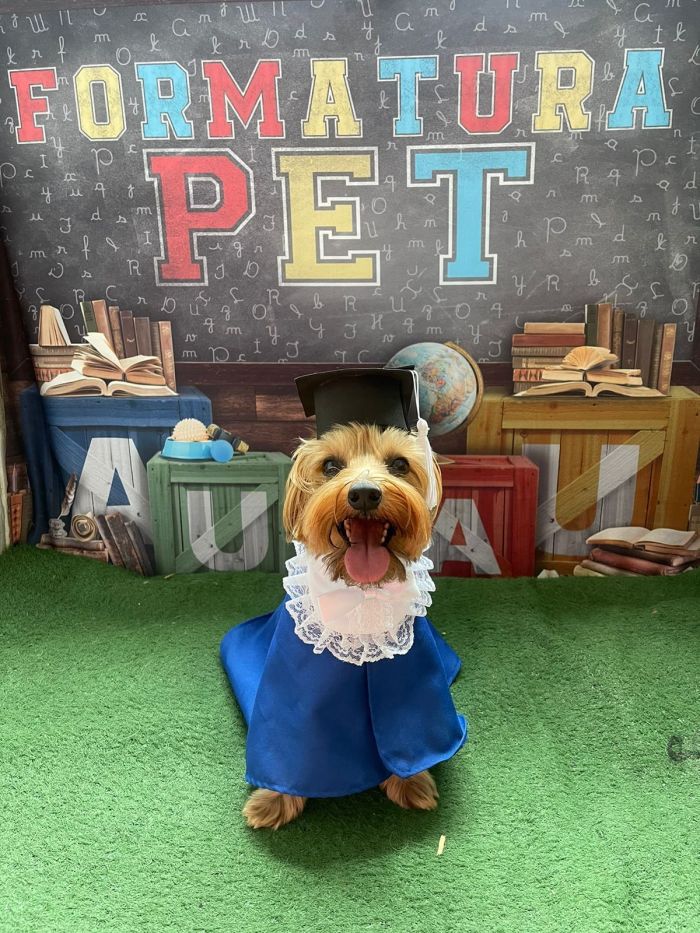 Oswaldo foi um dos cães formados Cão Oswaldo formando