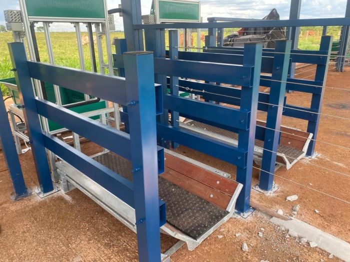 Cochos eletrônicos no Campo Experimental de Uberaba