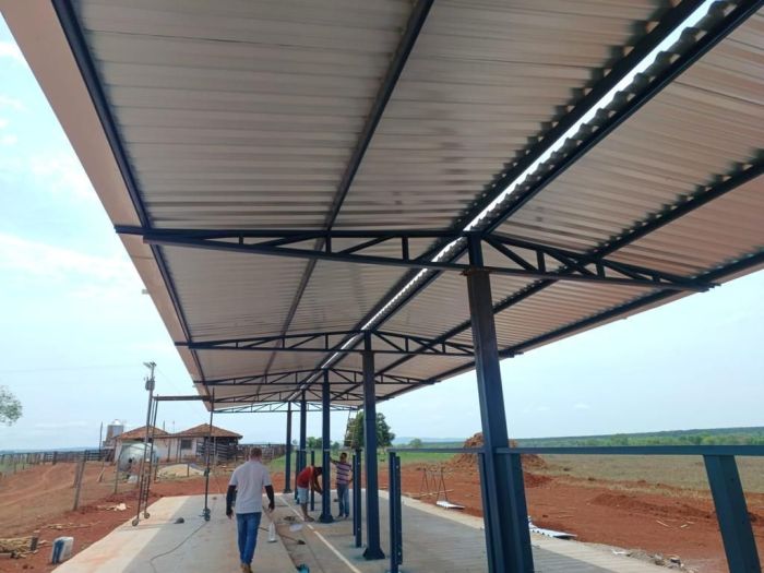 Cochos experimentais em implantação em Felixlândia