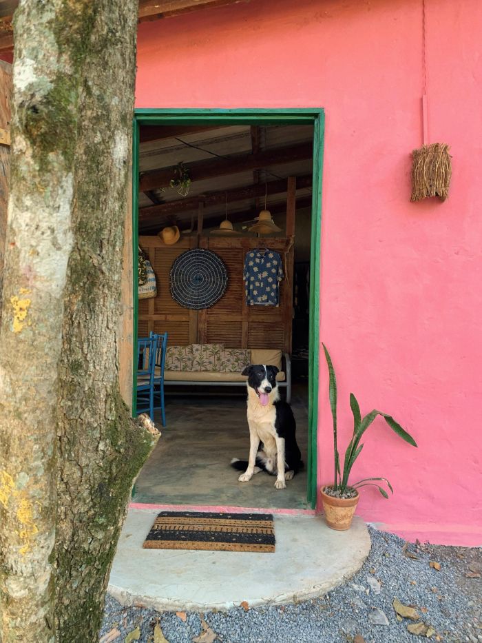O aconchego e a presença dos animais O aconchego e a presença dos animais