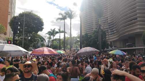 Foliões tomam conta da Avenida Brasil no bloco Haja Amor