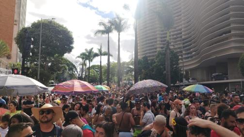 Foliões tomam conta da Avenida Brasil no bloco Haja Amor