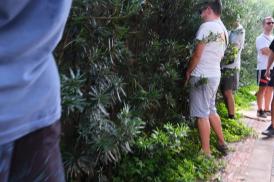 Foliões são flagrados 'fazendo xixi' nas ruas, durante Carnaval em BH