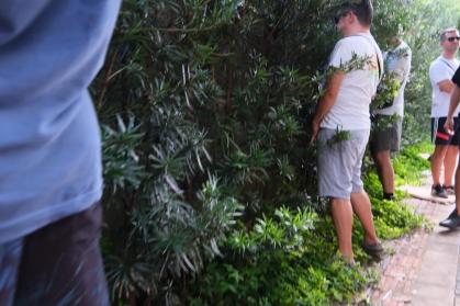 Foliões são flagrados 'fazendo xixi' nas ruas, durante Carnaval em BH
