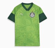 CAMISA TREINO E VIAGEM.jpeg