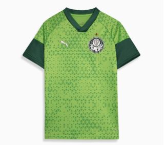 CAMISA TREINO E VIAGEM.jpeg