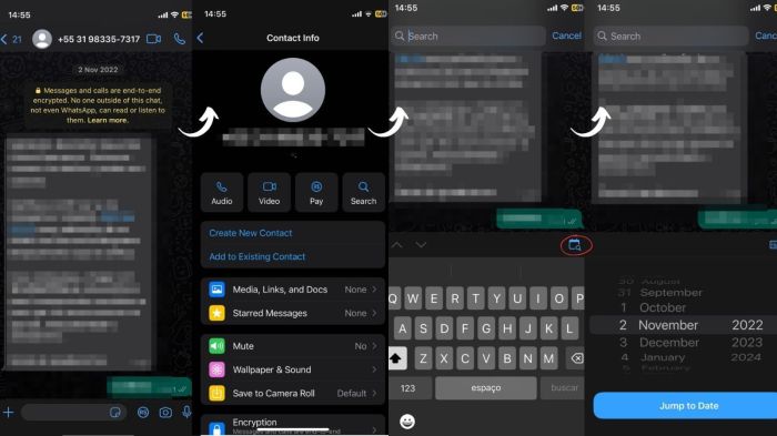 Veja como acessar a busca por data no WhatsApp no sistema iOS, da Apple