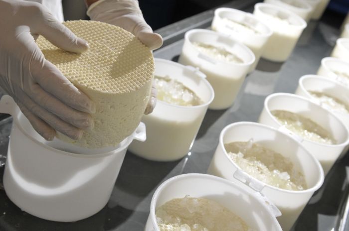 A maturação do queijo do Serro é feita em, pelo menos, 17 dias, produzido com leite cru, “pingo”, sal e coalho.