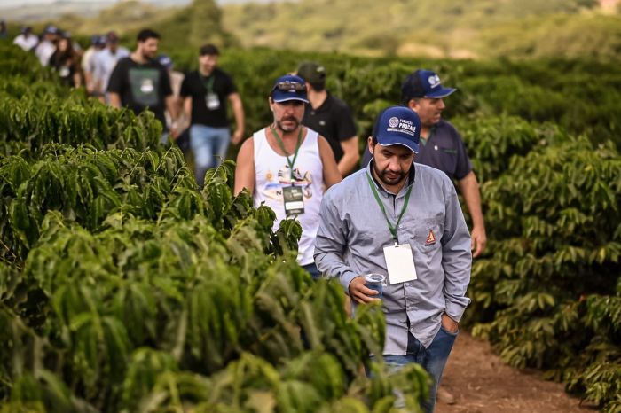 Estudantes, engenheiros agrônomos e cafeicultores aprenderam e trocaram ideias no Dia de Campo