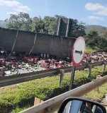 Mangas invadem pistas da rodovia Fernão Dias e paralisam trânsito