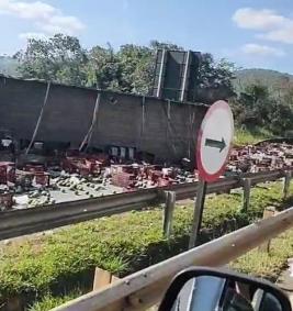Mangas invadem pistas da rodovia Fernão Dias e paralisam trânsito