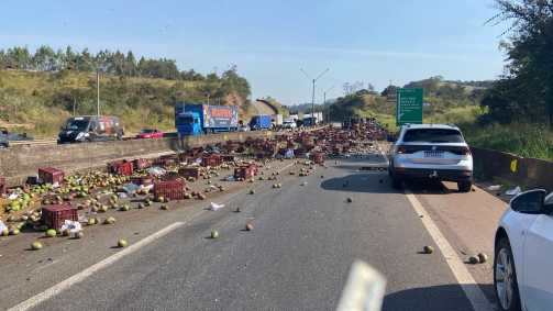 Mangas invadem pistas da rodovia Fernão Dias e paralisam trânsito
