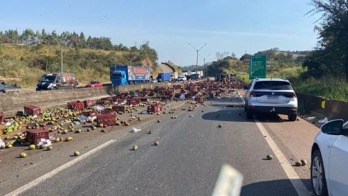 Mangas invadem pistas da rodovia Fernão Dias e paralisam trânsito