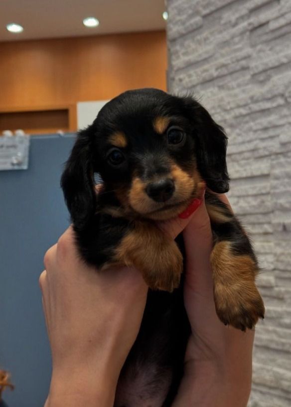 Mão feminina em foto de João Guilherme fez fãs criarem especulações