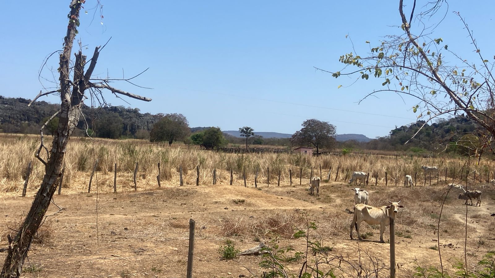 ‘O agro sem água’: a luta para ampliar o acesso ao recurso no Norte de Minas