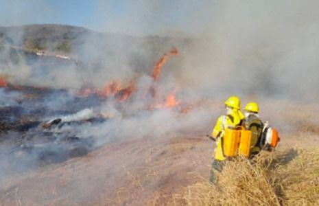 Incêndios Florestais