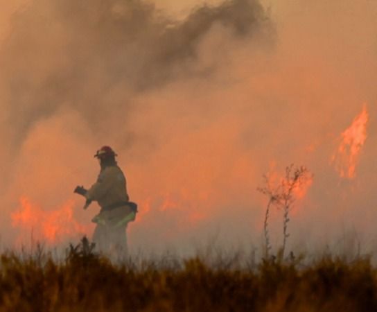 Governo Federal estipula multas de até 50 milhões para quem não combater incêndios em áreas rurais