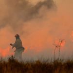 Governo Federal estipula multas de até 50 milhões para quem não combater incêndios em áreas rurais