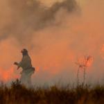 Governo Federal estipula multas de até 50 milhões para quem não combater incêndios em áreas rurais