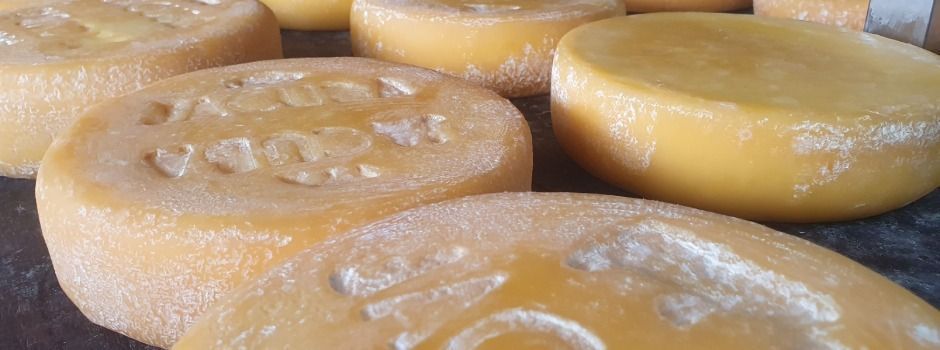 Queijo Minas Artesanal agora tem política estadual