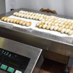 PF prende 13 pessoas por tráfico de drogas em uma semana no aeroporto de Guarulhos