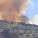 Vídeo: chamas se aproximam de casas na Serra da Piedade