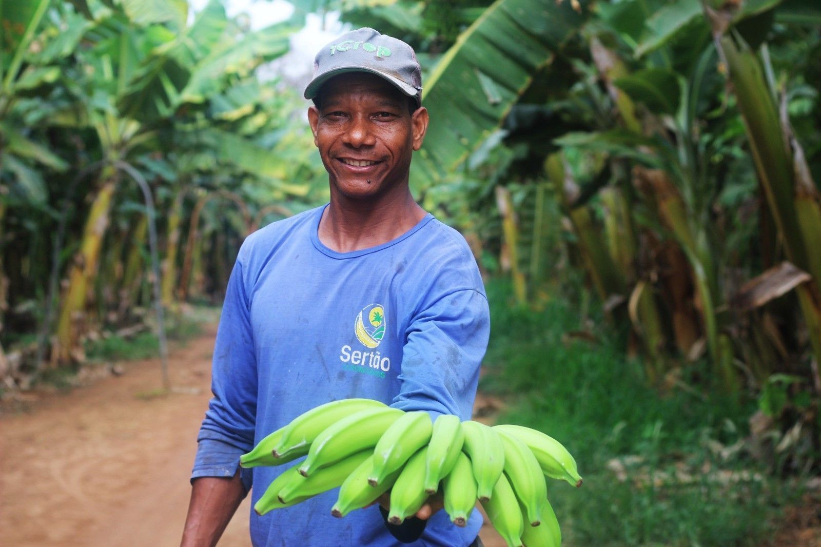 'O Agro Sem Água': Fruticultura irrigada do Norte de Minas: o sertão que dá certo