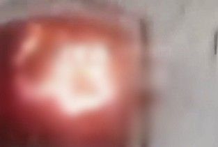 Adolescente coloca filhotes de cachorro em fornalha, filma ação e manda para colegas