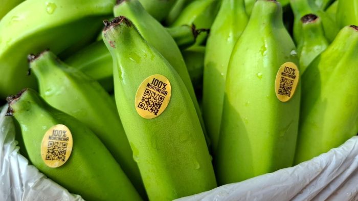 QRCode acessa informações sobre o local e a forma de produção da banana