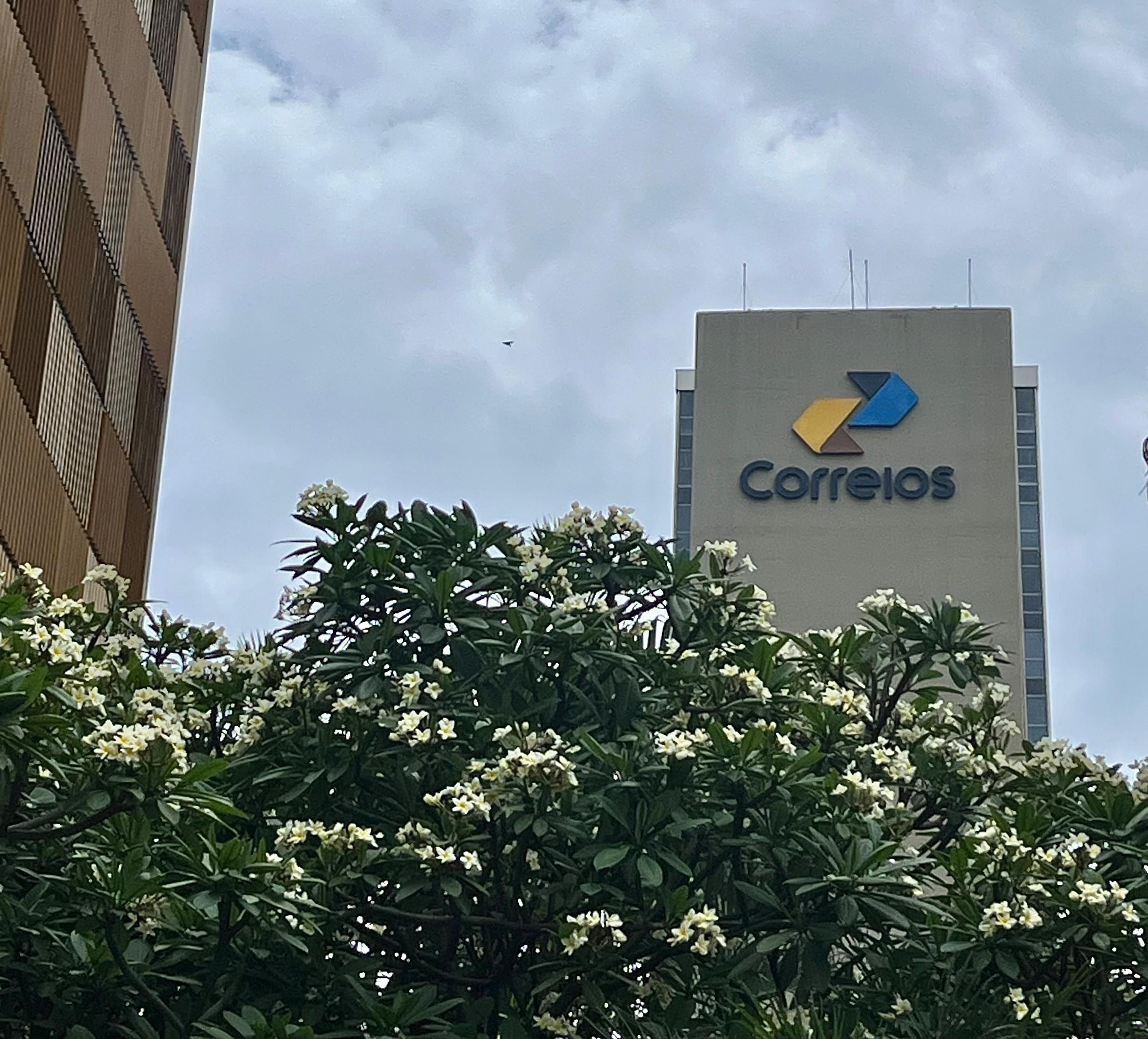 Concurso dos Correios: mais de 1,2 milhão de candidatos já se inscreveram