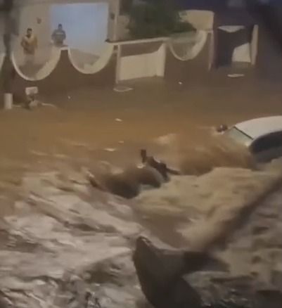 Ciclone extratropical: três pessoas desaparecem em enxurradas e 65 mil seguem sem energia em SP
