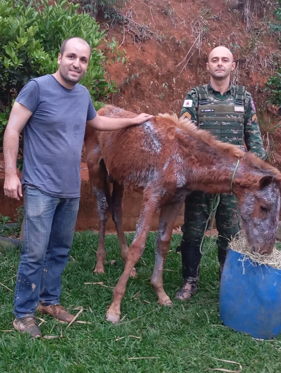 Polícia Militar e Instituto Habitat atuam em caso de maus-tratos a animais em Mariana