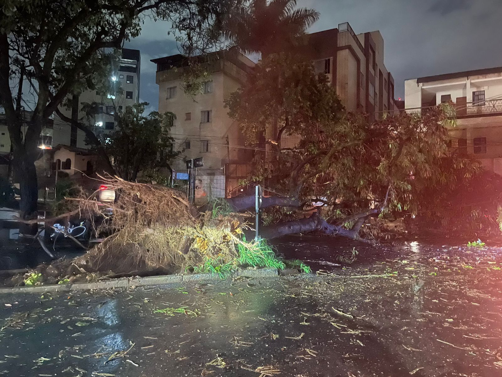 Chuva em BH: bombeiros receberam 78 chamados entre a noite de sábado (26) e a manhã de domingo (27)