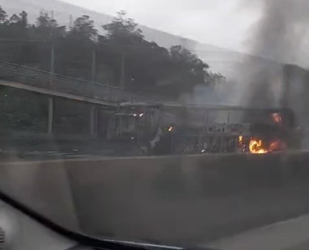 Palmeiras se manifesta após ataque da Mancha Alviverde a ônibus da Máfia Azul