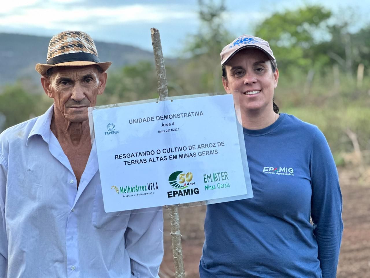 Safra mineira de arroz cresceu 470% em 2024; entenda por quê