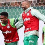 Saiba se Estêvão e Weverton, convocados pela Seleção, desfalcam o Palmeiras