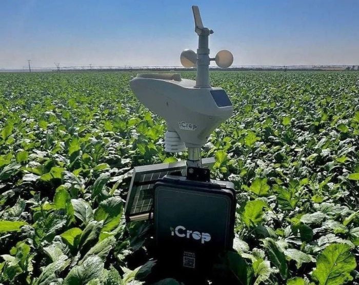 Plataforma que calcula o volume de água e o período que a irrigação deve ser acionada é o principal negócio da iCrop